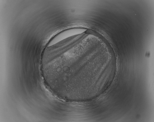 X0000115120434200911171331