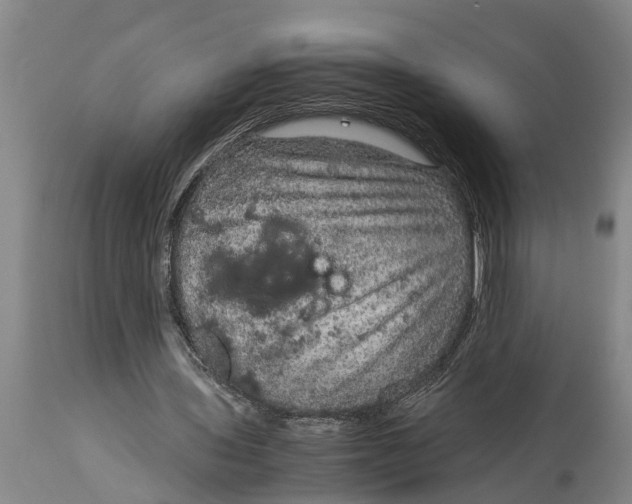 X0000115120435200911171331