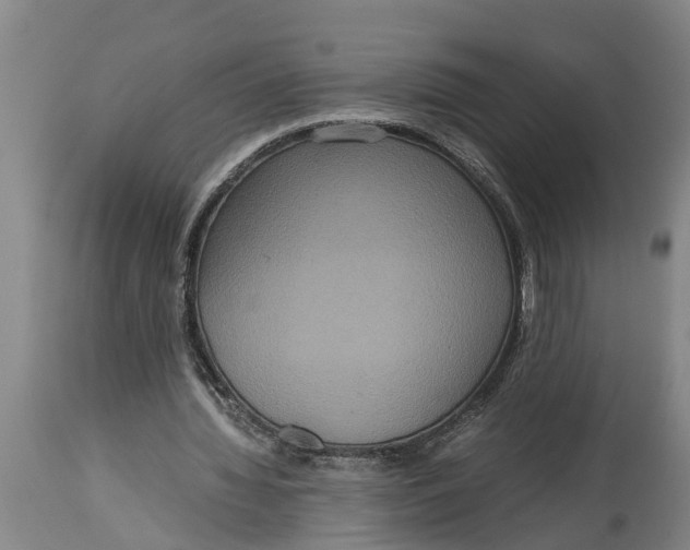 X0000115120436200911171331