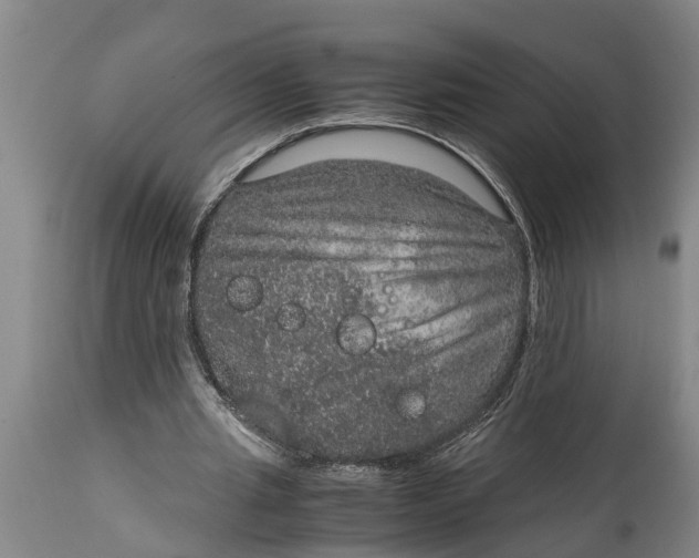 X0000115120437200911171331