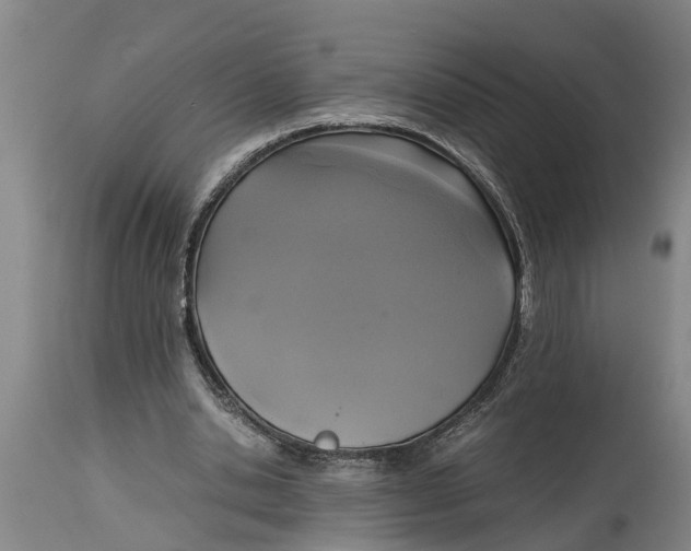X0000115120438200911171332
