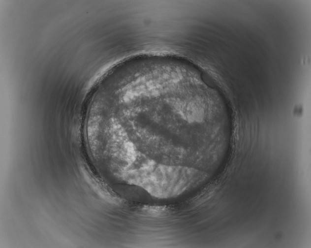 X0000115120440200911171332