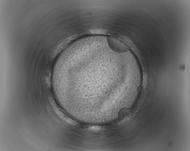 X0000115120441200911171332