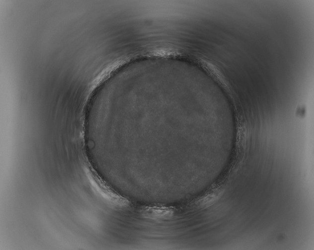 X0000115120443200911171332