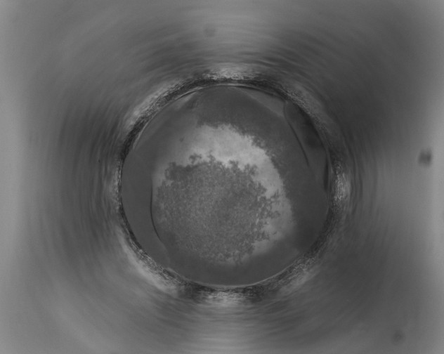 X0000115120444200911171332