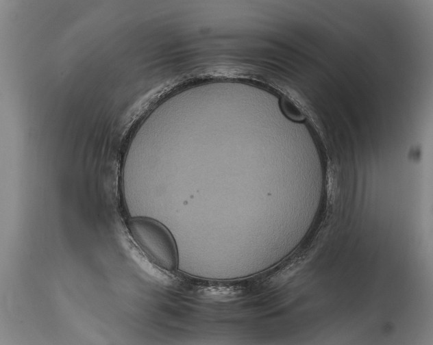 X0000115120445200911171332