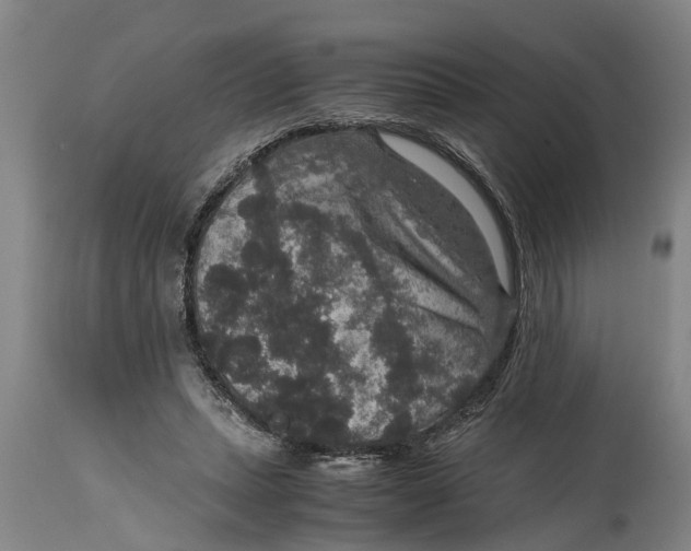 X0000115120447200911171332