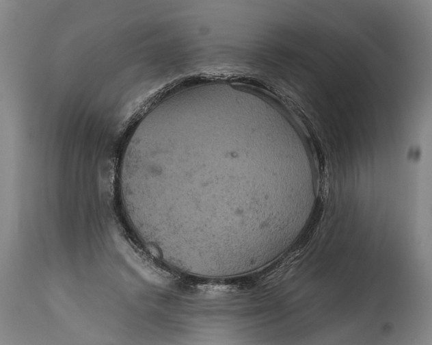 X0000115120448200911171332