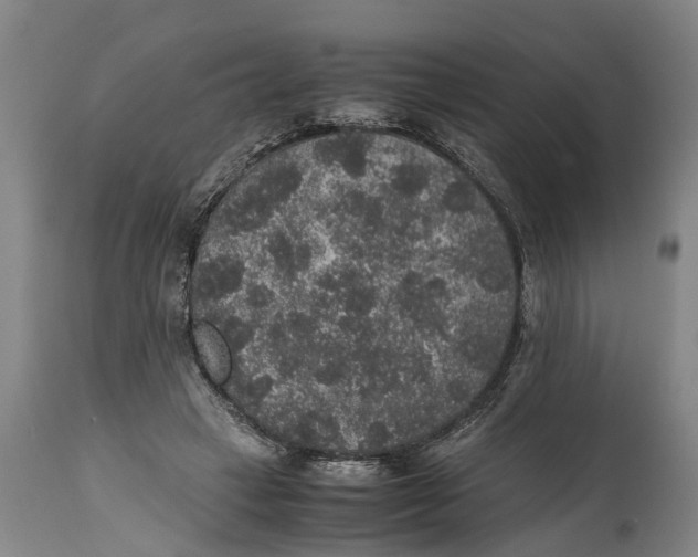 X0000115120449200911171332