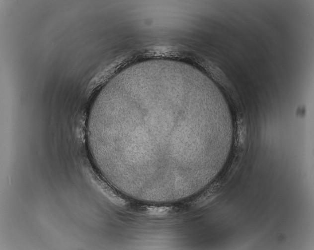 X0000115120450200911171332