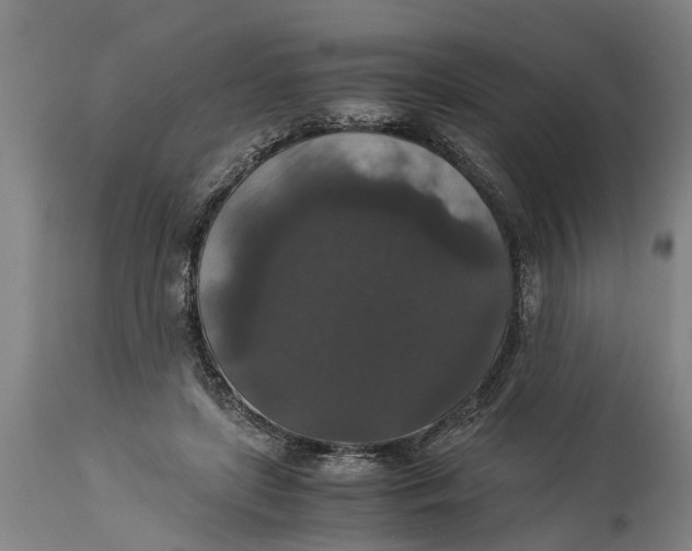 X0000115120451200911171332