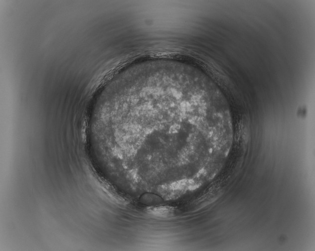 X0000115120452200911171332