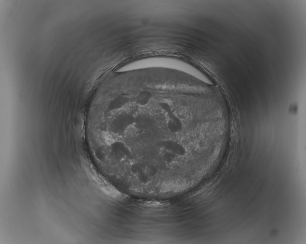 X0000115120453200911171332