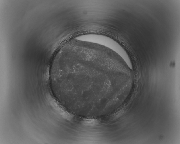 X0000115120454200911171332