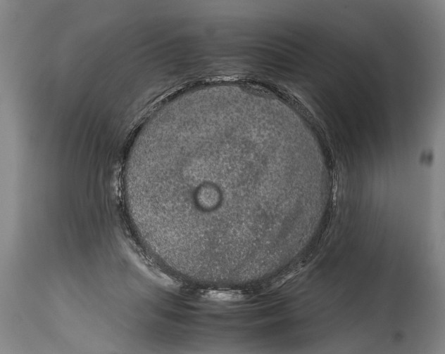 X0000115120455200911171332