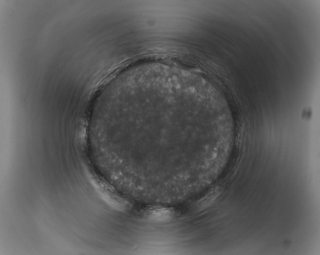 X0000115120456200911171332
