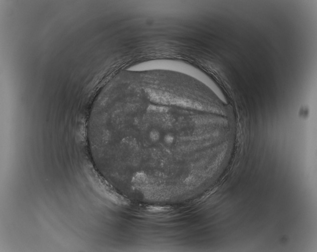 X0000115120457200911171332