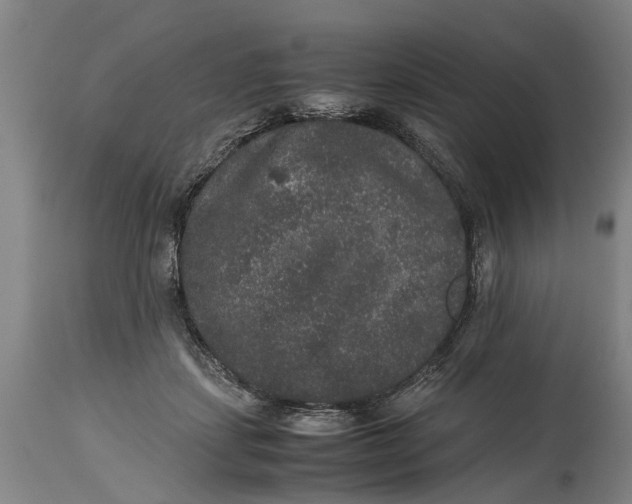 X0000115120459200911171332