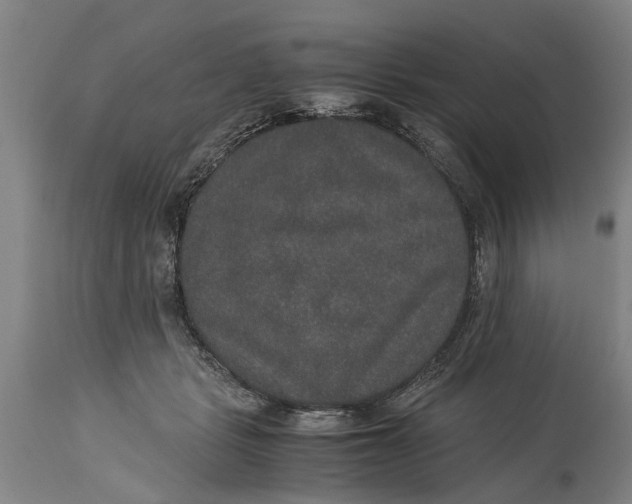 X0000115120461200911171332