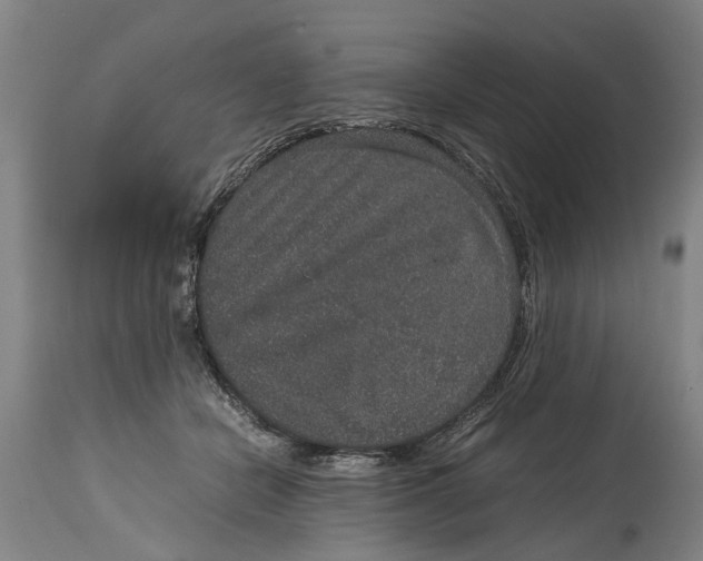 X0000115120462200911171332
