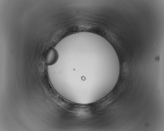 X0000115120463200911171332