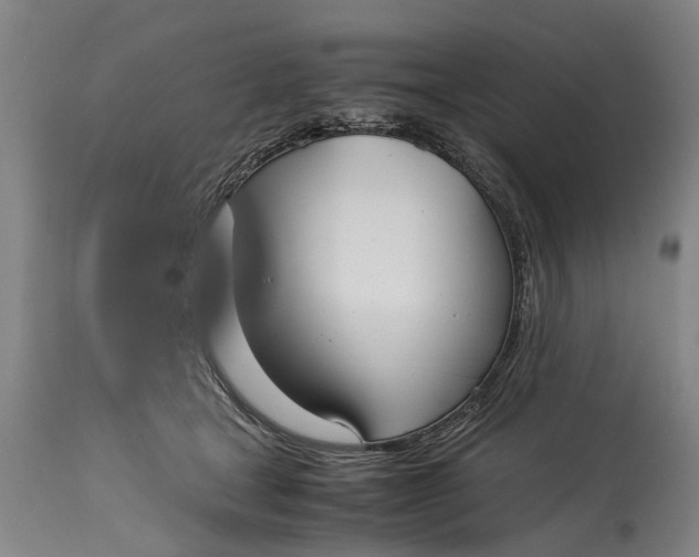 X0000115120465200911171332