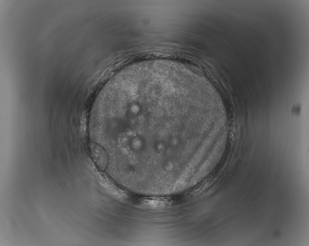 X0000115120466200911171332