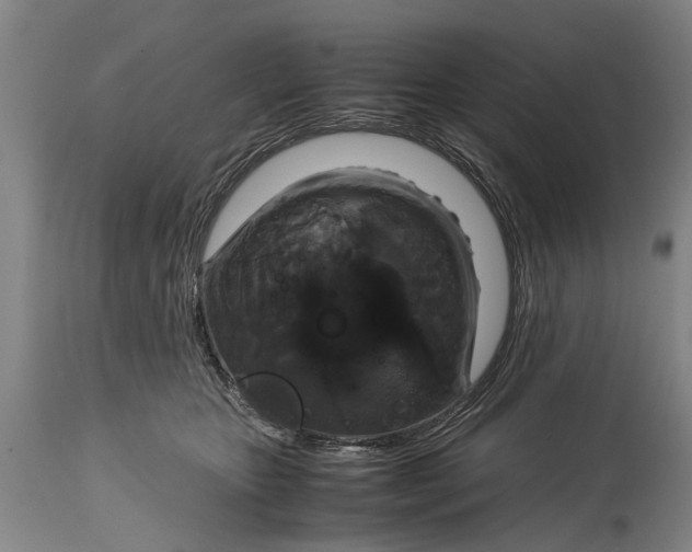 X0000115120467200911171332