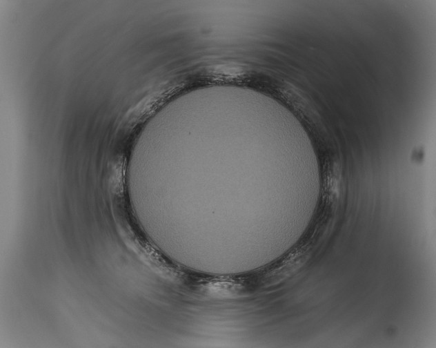 X0000115120468200911171332