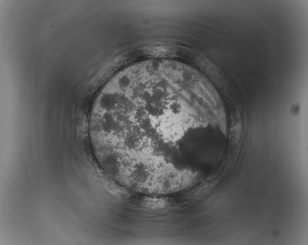 X0000115120469200911171332