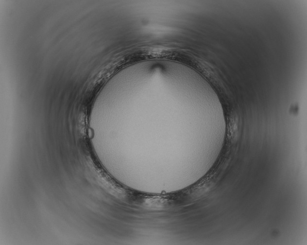 X0000115120470200911171332