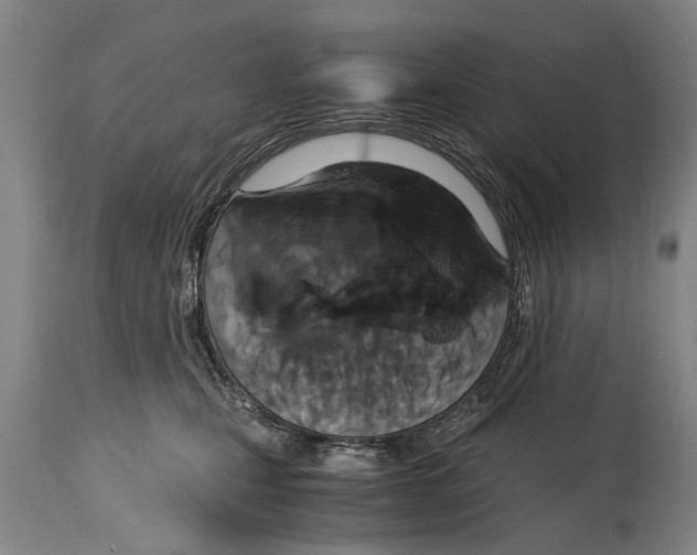X0000115120471200911171332