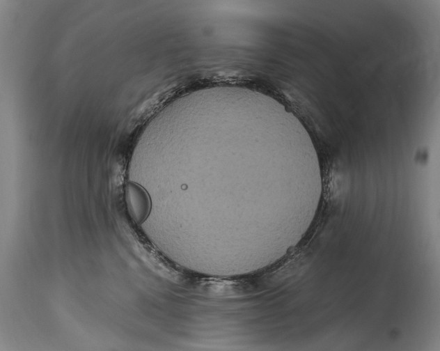 X0000115120472200911171332