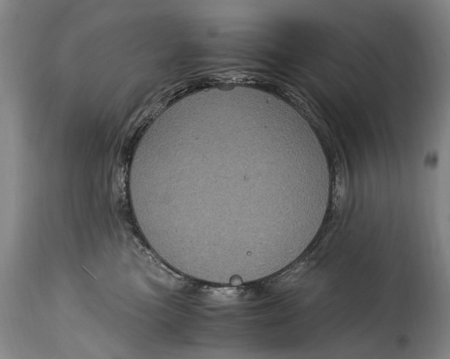 X0000115120473200911171332