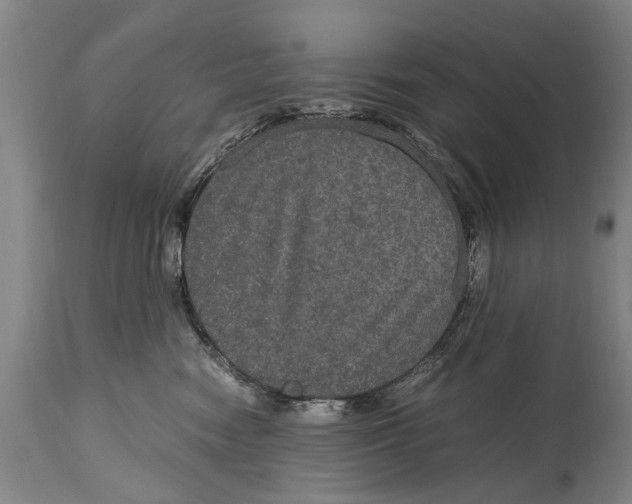 X0000115120474200911171332