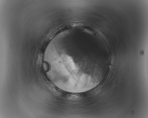 X0000115120475200911171332