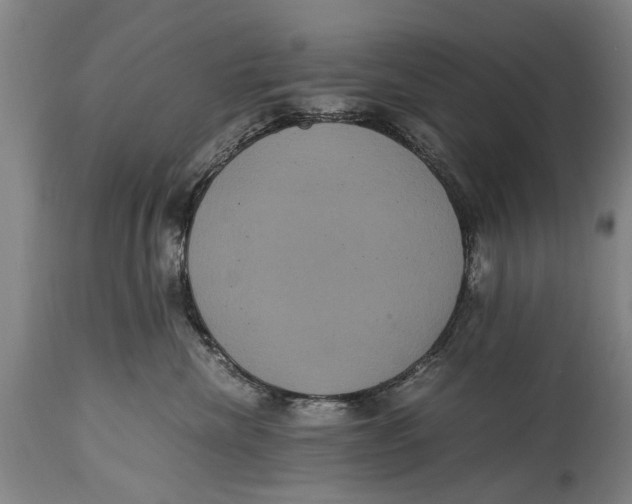 X0000115120476200911171332