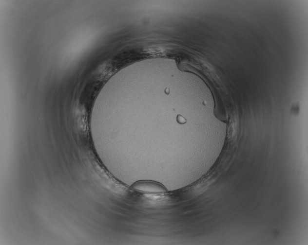 X0000115120477200911171332