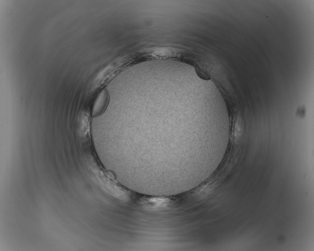 X0000115120478200911171332