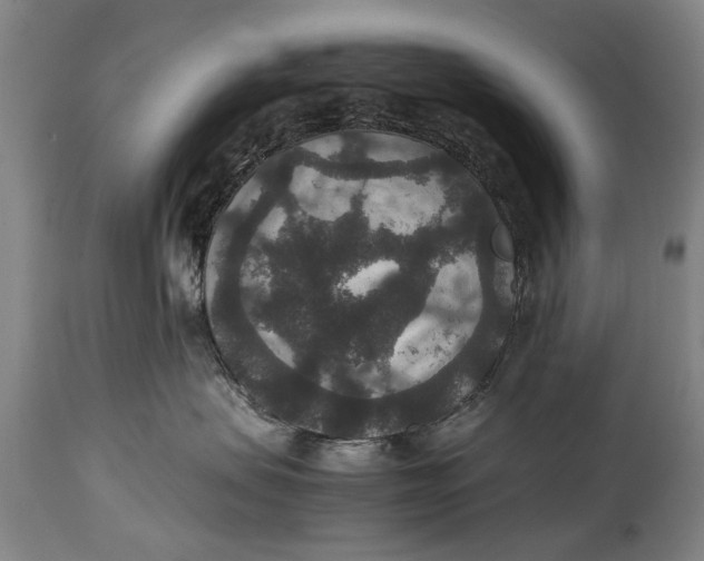 X0000115120479200911171332