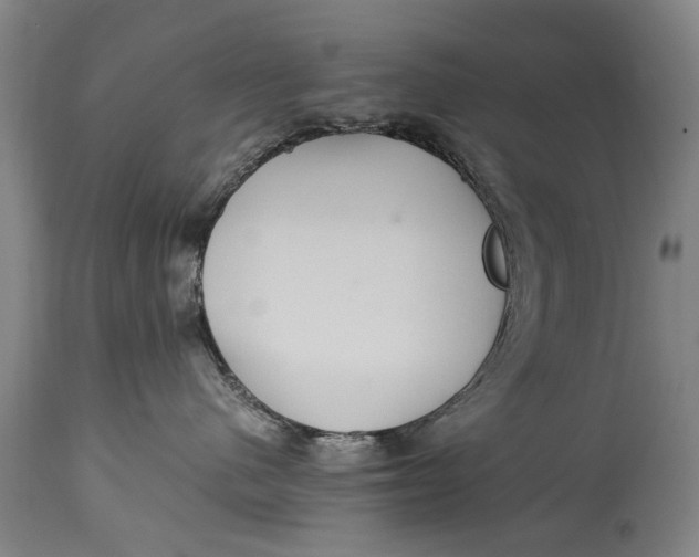 X0000115120480200911171332