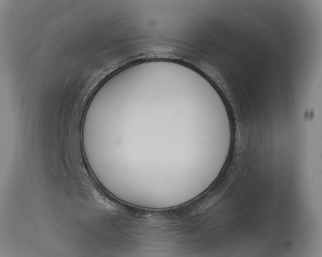 X0000115120481200911171331