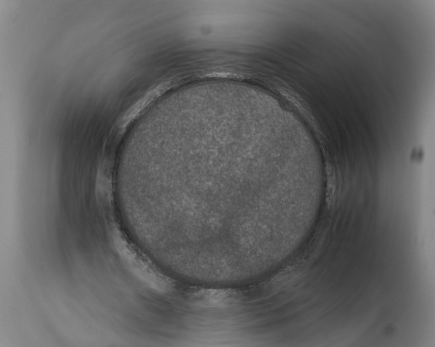 X0000115120482200911171331
