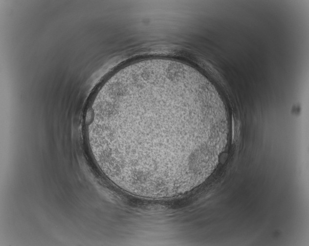 X0000115120483200911171331