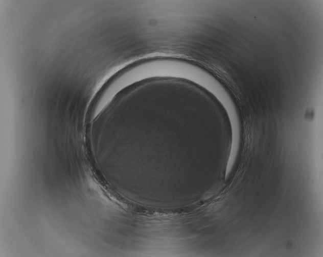 X0000115120484200911171331