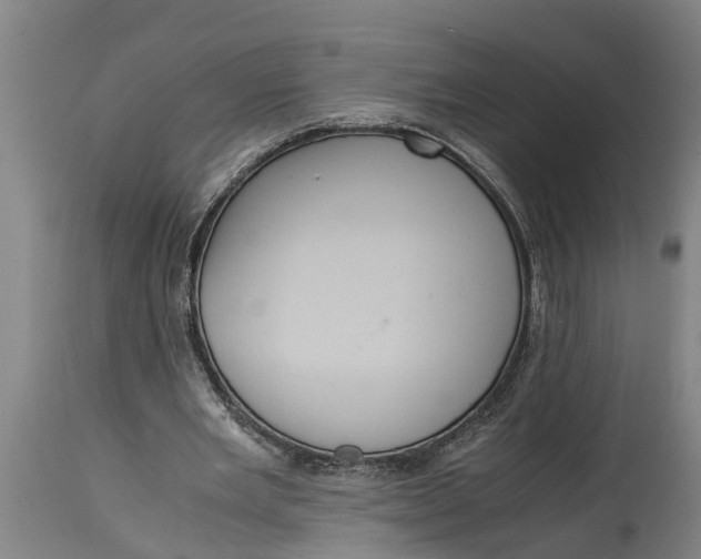 X0000115120485200911171331