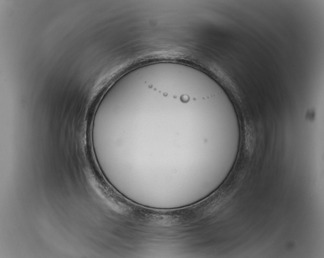 X0000115120486200911171331