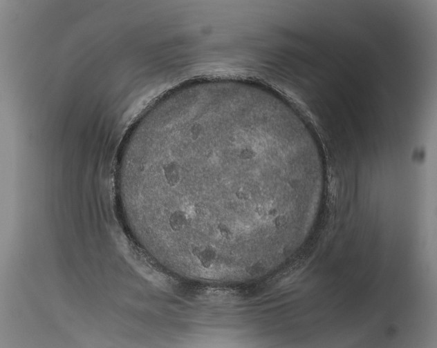 X0000115120487200911171331