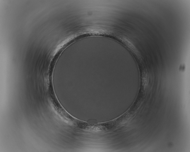 X0000115120488200911171331
