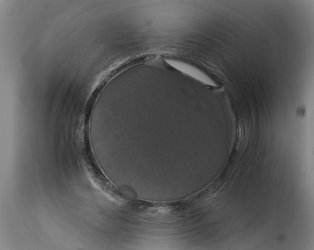 X0000115120492200911171331